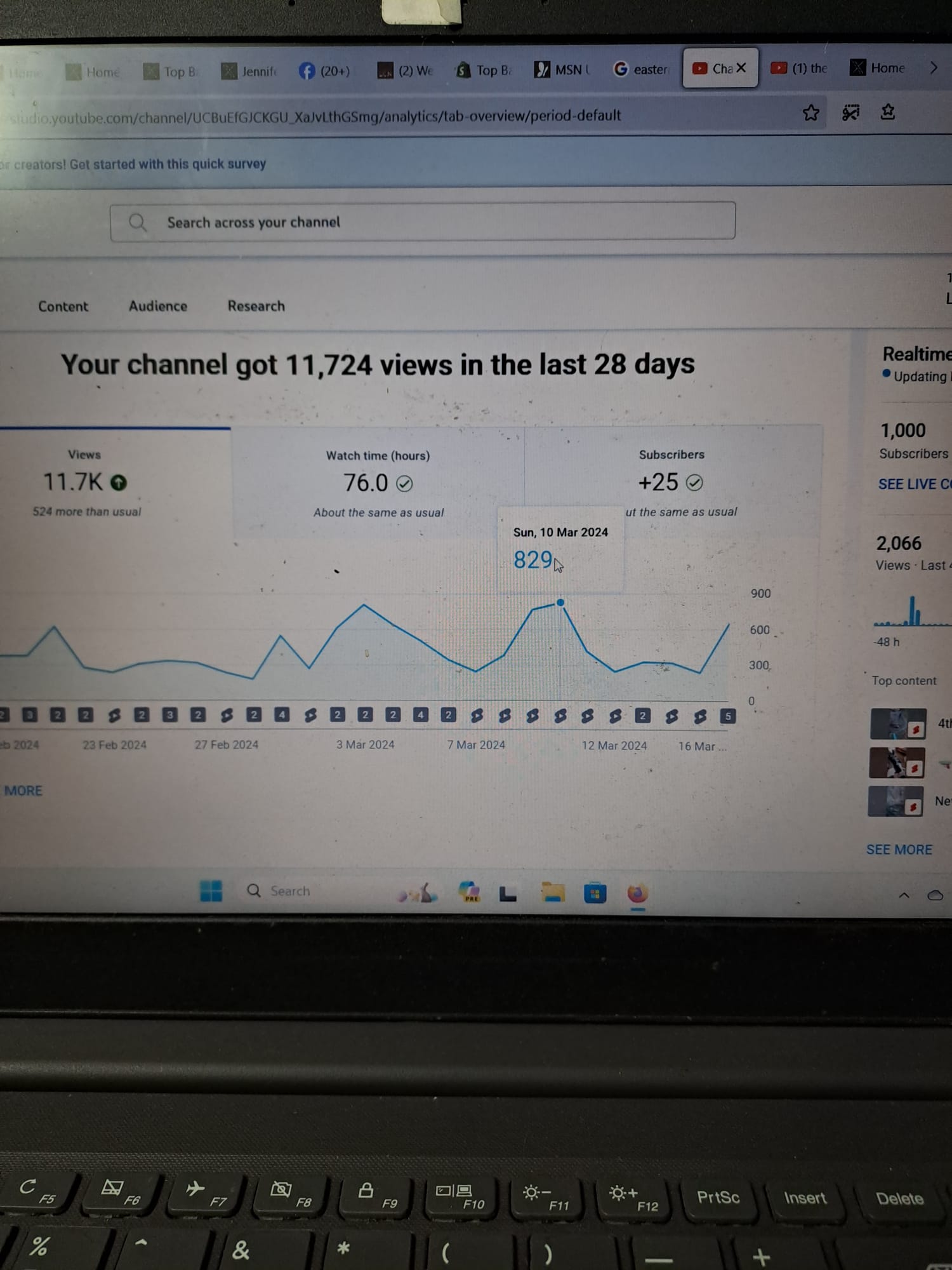 A grand total, 1000 subscribers to Top Banana's YouTube channel