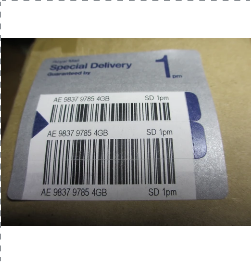 picture of special delivery label