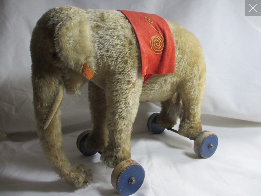 Why can Elephants not have paws ?