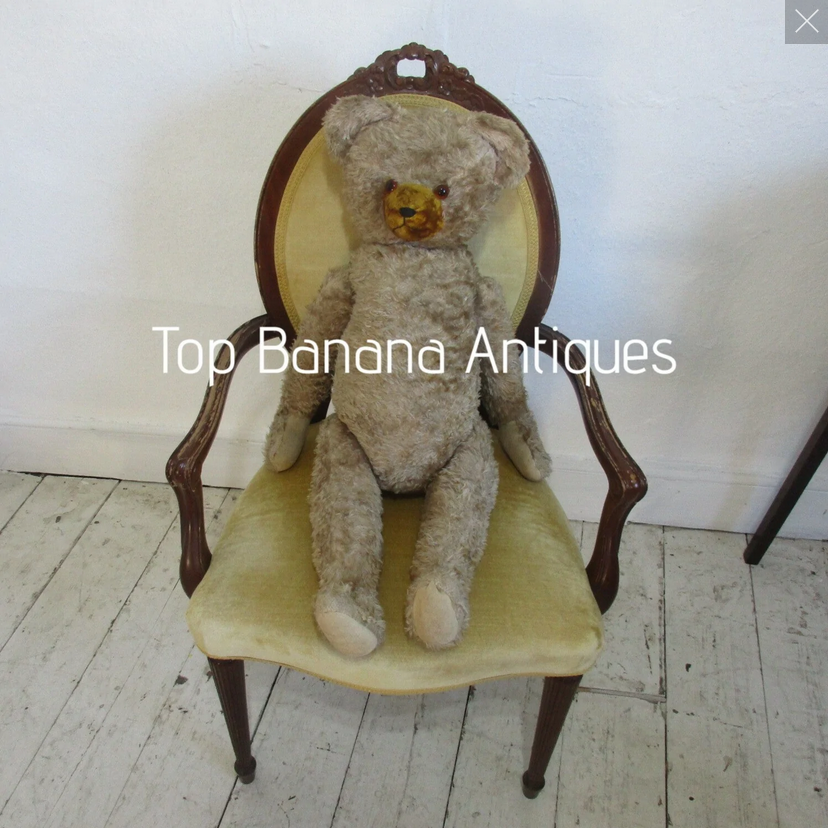 Whats makes a bear into a treasured bear
