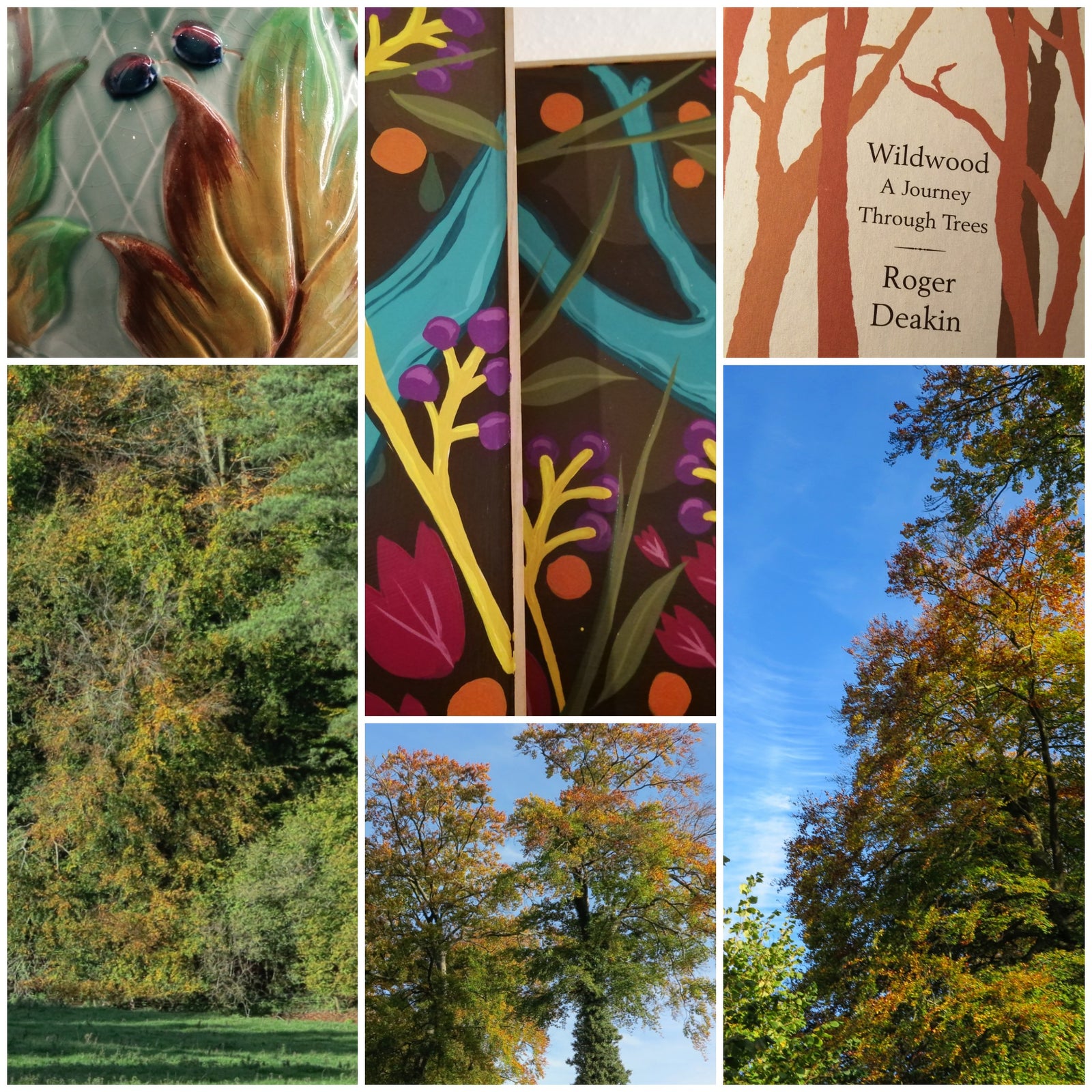 Don't Miss The Colourful Display At Westonbirt !