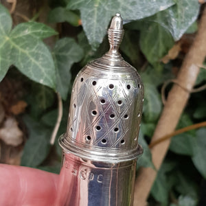 Sterling Silver Urn Pattern Muffiner Shaker Table Caster Antique Georgian London Circa 1793