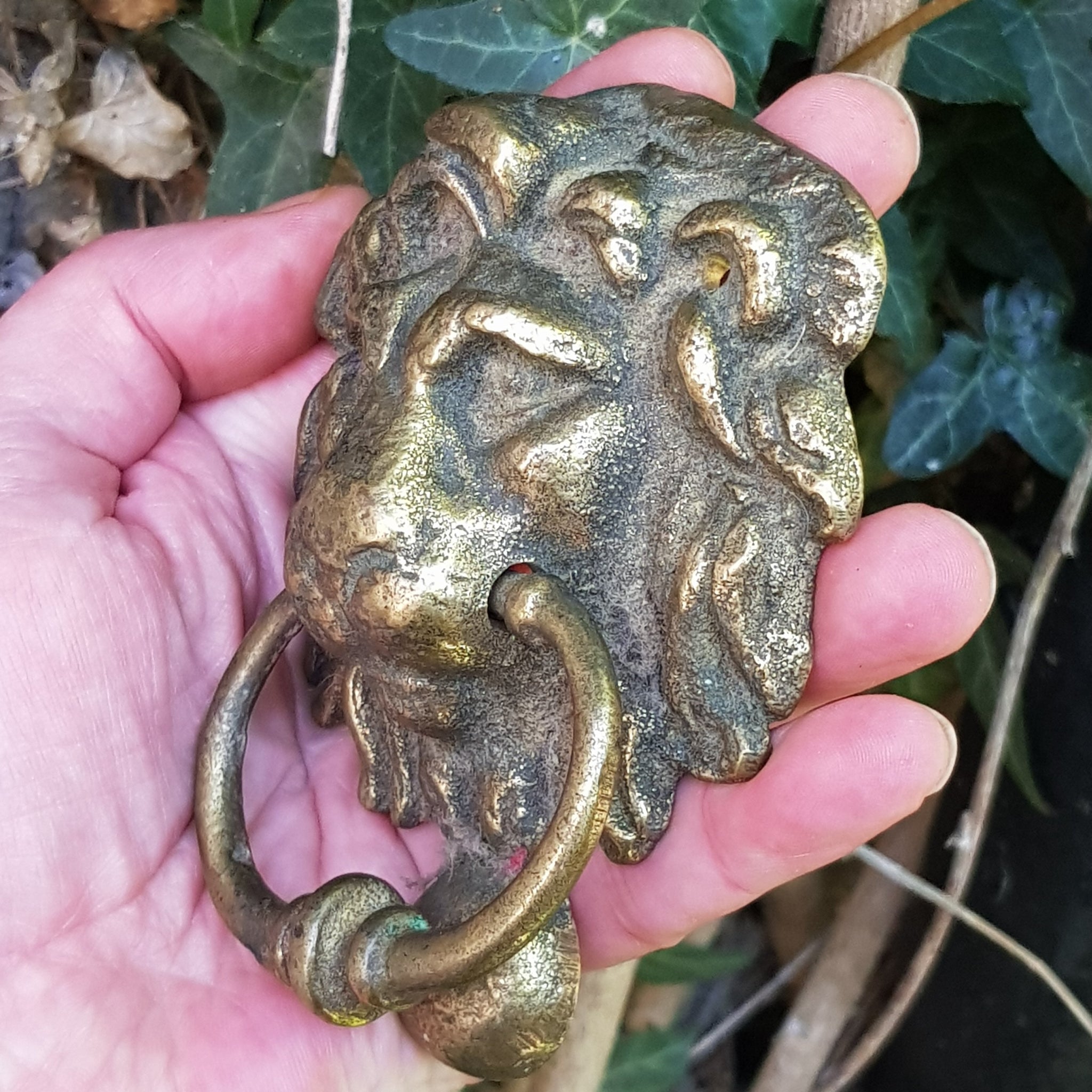 Good Pair Of Brass Lions Head Door Knockers Antique Edwardian Circa 1910