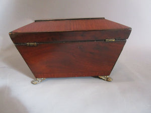 Sarcophagus Mahogany Tea Caddy On Lion Paw Feet With Lion Ring Pull Handles Antique Regency c1815