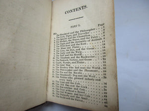 The Flowers Of English Fable Antique Georgian c1830