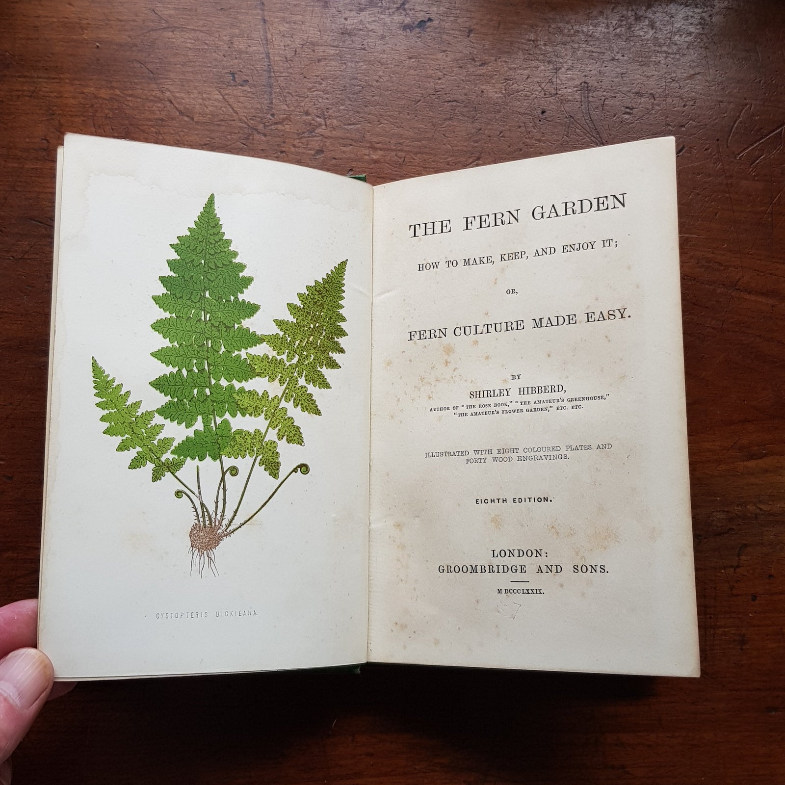 Pteridomania: When the Victorians Went Absolutely Potty for Ferns
