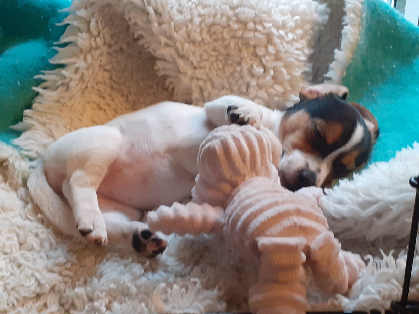 Three thousand six hundred & fifty six reasons to take a look