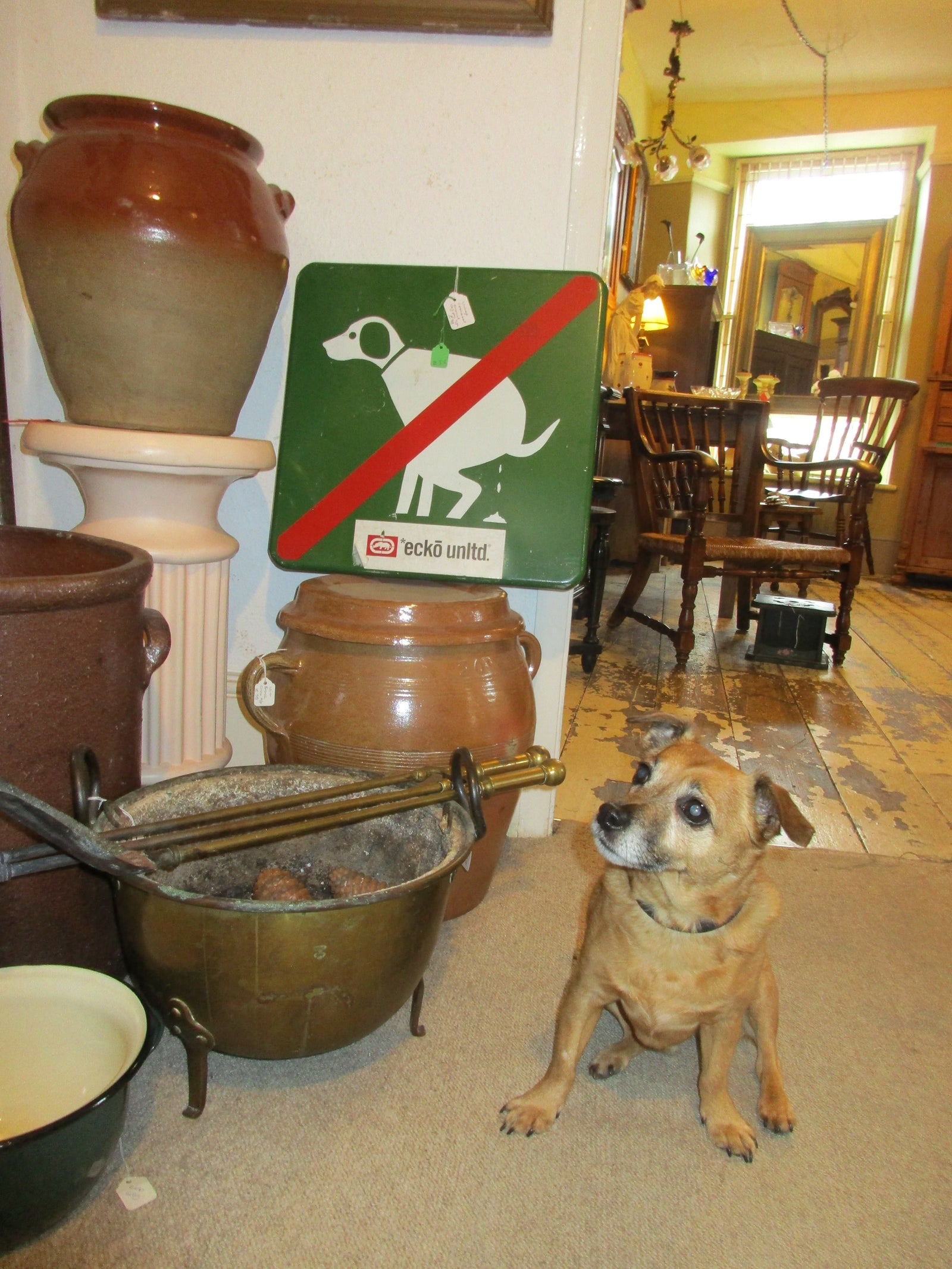 Big Thank You To Our Local And Worldwide Customers For This Amazing Week!