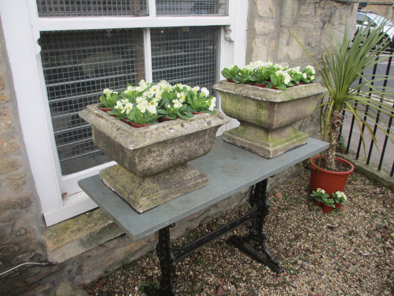 Spring is in the Air!