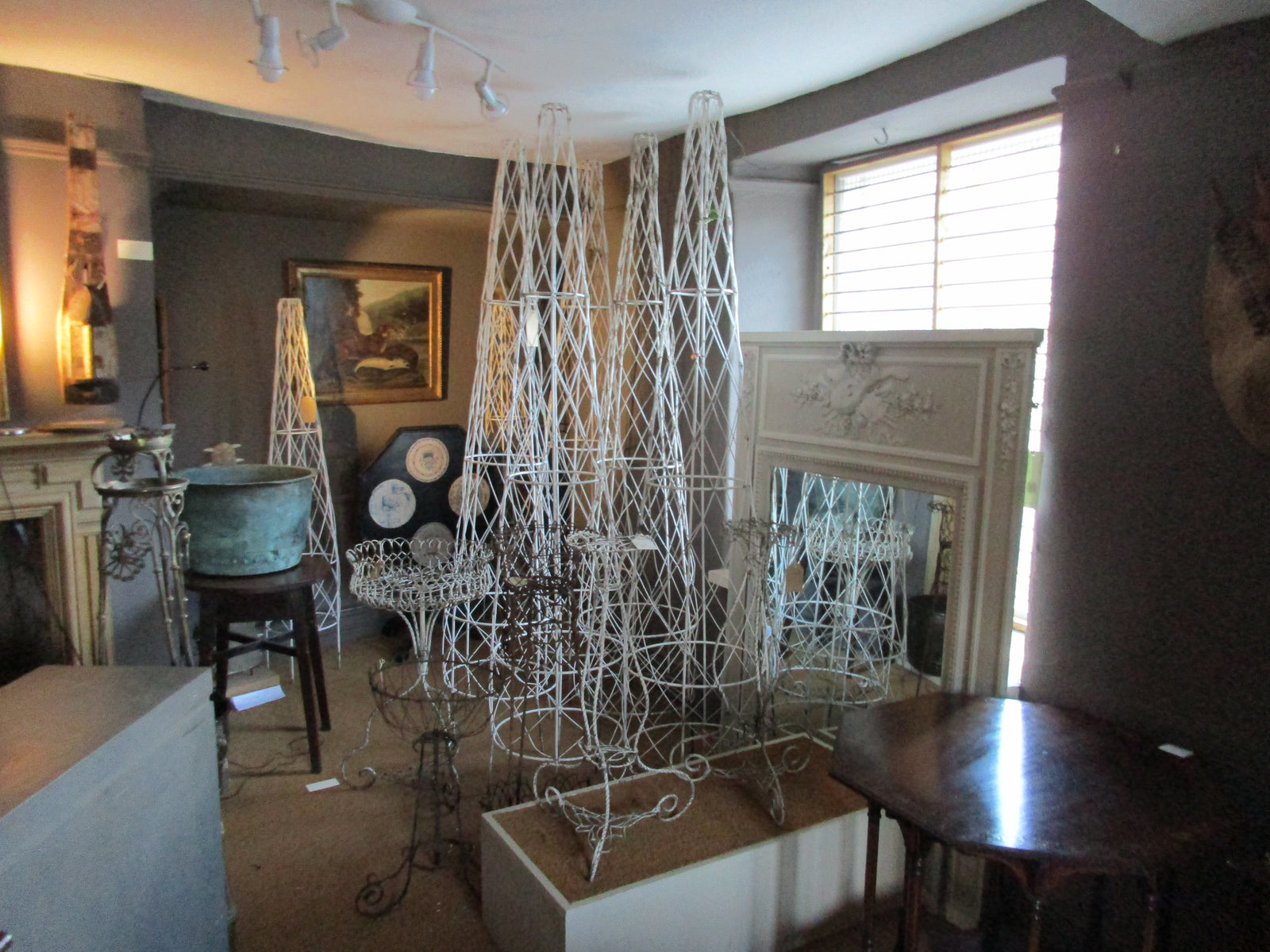 Winter Gardening at Top Banana