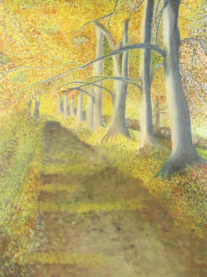 Poetry trail at Westonbirt Arboretum.