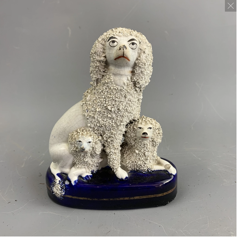 Not your standard poodle