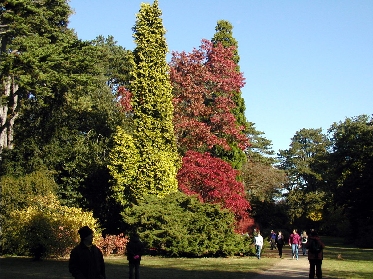 Westonbirt Arboretum, Highgrove and Top Banana Antiques Mall in one town