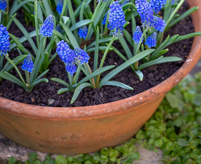 We aim to have something for everyone stock from £1 to £8500