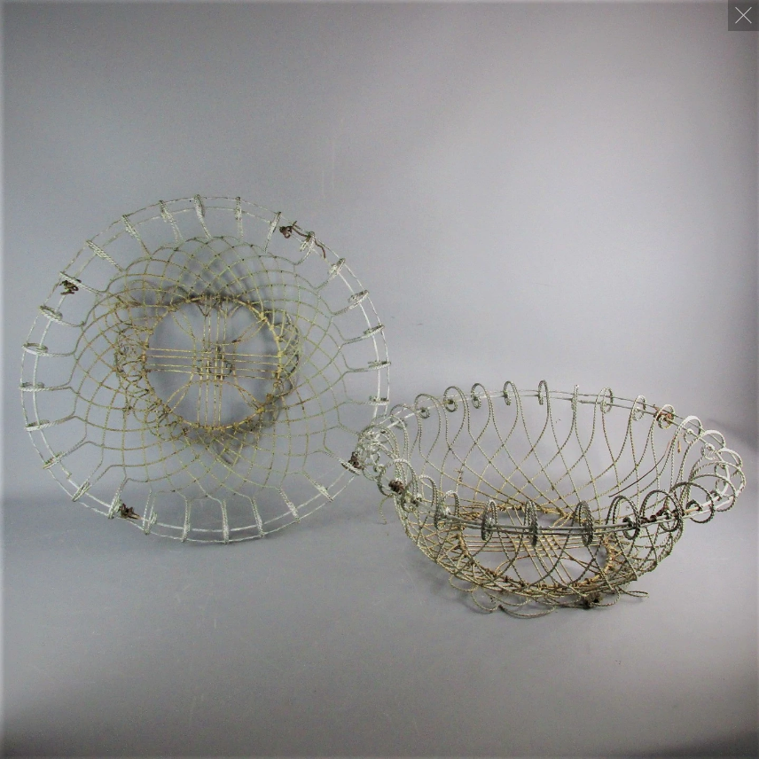 Spring is here, we have the snow drops to prove it