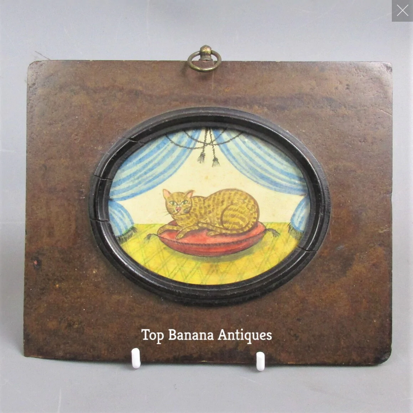 Naive & animals still a winner