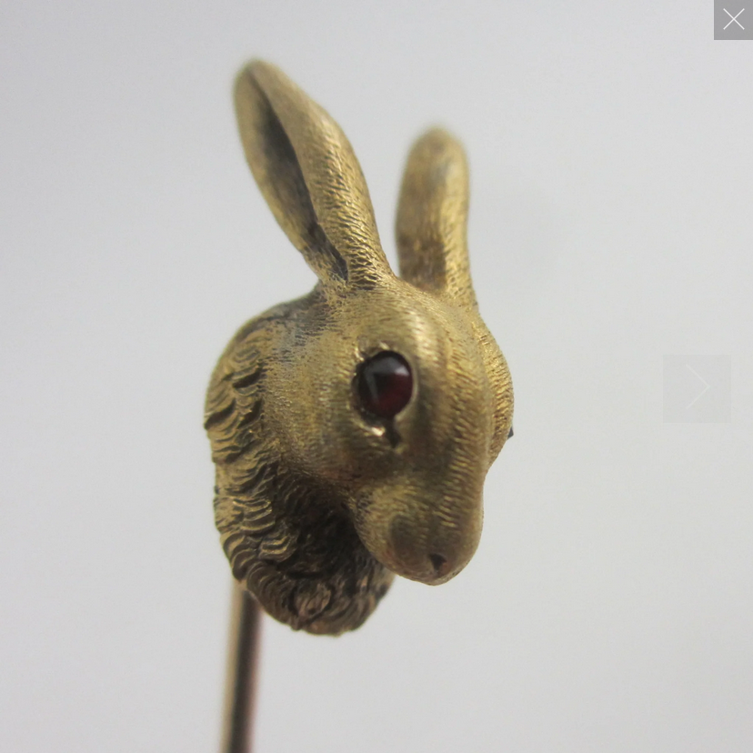 Leveret your way into her heart