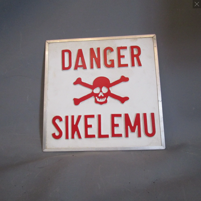 Belgium has more solar panels than whole of Africa Cop29