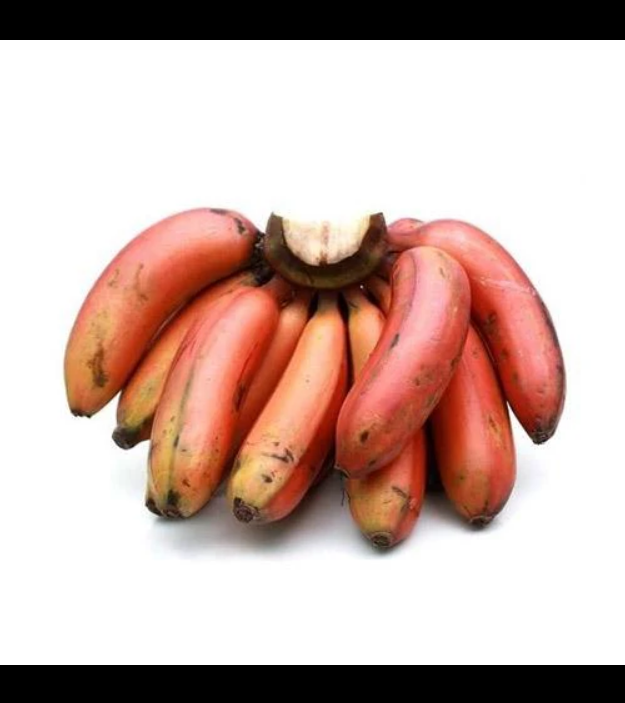 Lifestyle — The Top Banana Way