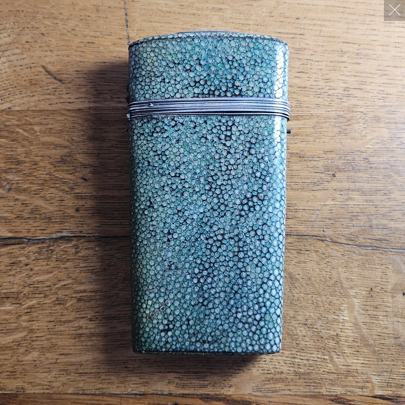 Shagreen – The Exotic Skin Behind Antique Boxes &amp; Caddies