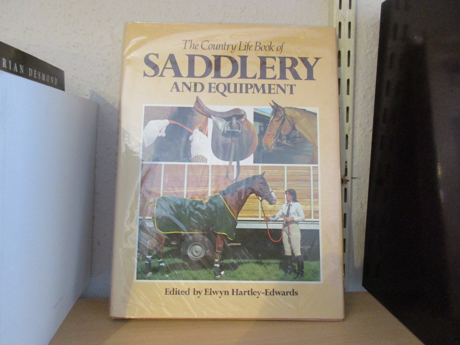 Equestrian Season Is Upon Us Here In The Cotwolds.