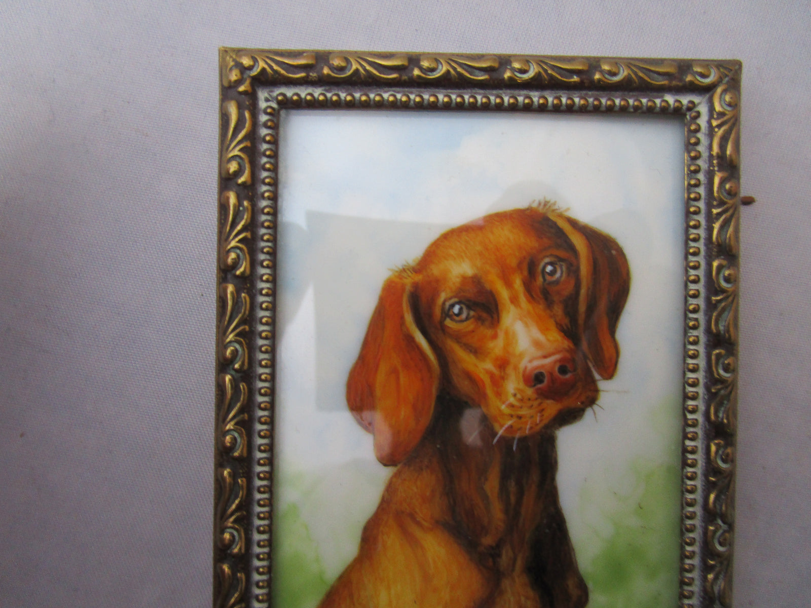 Barbara four dogs