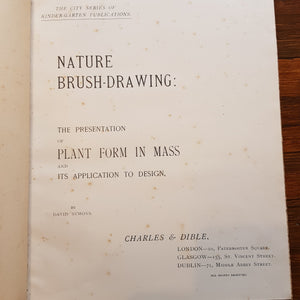 Nature Brush Drawing The Representation of Plant Form in Mass and its Application to Design Antique Art Nouveau Circa 1902