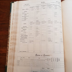 The Statistics Of Crime From 1801 to 1850 County Of Wiltshire Fisherton Gaol Antique Victorian Circa 1855