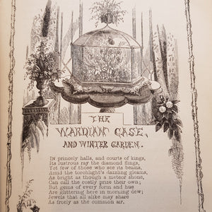 Rustic Adornments For Homes of Taste and Recreations For Town Folk In The Study And Imitation of Nature Antique Victorian Circa 1857