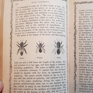 Rustic Adornments For Homes of Taste and Recreations For Town Folk In The Study And Imitation of Nature Antique Victorian Circa 1857