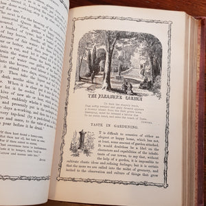 Rustic Adornments For Homes of Taste and Recreations For Town Folk In The Study And Imitation of Nature Antique Victorian Circa 1857