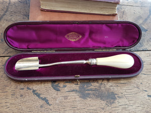 Superb Sterling Silver Stilton Scoop In Original Box Antique Sheffield circa 1873