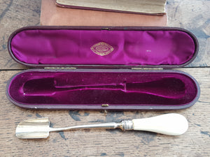 Superb Sterling Silver Stilton Scoop In Original Box Antique Sheffield circa 1873