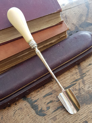 Superb Sterling Silver Stilton Scoop In Original Box Antique Sheffield circa 1873