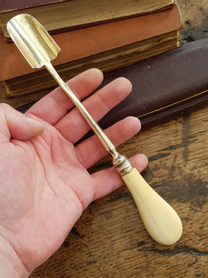 Superb Sterling Silver Stilton Scoop In Original Box Antique Sheffield circa 1873