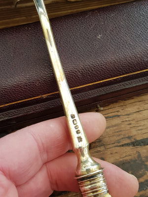 Superb Sterling Silver Stilton Scoop In Original Box Antique Sheffield circa 1873