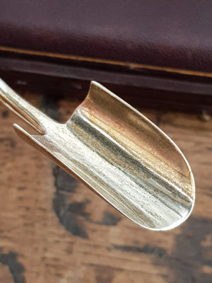 Superb Sterling Silver Stilton Scoop In Original Box Antique Sheffield circa 1873