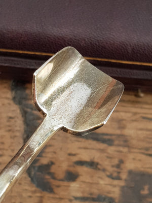 Superb Sterling Silver Stilton Scoop In Original Box Antique Sheffield circa 1873