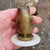 Bronze Figure Of A Sitting Bear Mounted On White Onyx Base Antique circa 1920