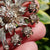 Sterling Silver Mine Cut Diamond Set Chase Detailed Large Flower Brooch Antique Georgian Circa 1810