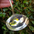 Superb Sterling Silver Ladle With Engraved Rampant Lion Crest Antique Georgian Circa 1817