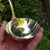 Superb Sterling Silver Ladle With Engraved Rampant Lion Crest Antique Georgian Circa 1817