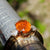 18k Yellow Gold Fire Opal And Diamond Trilogy Ring Size UK O 1/2 Circa 2015