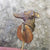 Rare Sterling Silver Gilt Grey Hound Head Stock Pin Antique Victorian Circa 1870