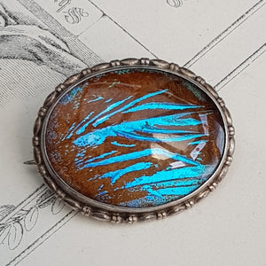 Sterling Silver Butterfly Wing Under Glass Cabochon Brooch Vintage Art Deco circa 1930