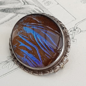 Sterling Silver Butterfly Wing Under Glass Cabochon Brooch Vintage Art Deco circa 1930