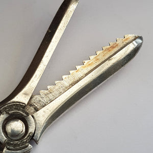 Pair Of Sterling Silver Running Fox On Bacchanalian Stem Grape Shears Vintage Sheffield circa 1959