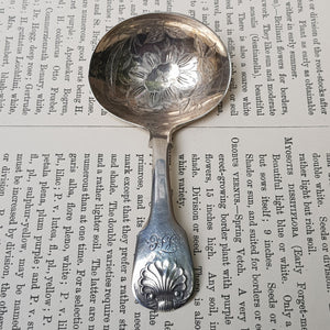 Sterling Silver Shelled Fiddle Pattern Tea Caddy Spoon With Flora Chased Bow Antique Georgian London Circa 1825