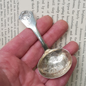 Sterling Silver Shelled Fiddle Pattern Tea Caddy Spoon With Flora Chased Bow Antique Georgian London Circa 1825