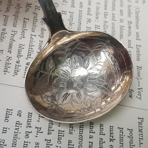 Sterling Silver Shelled Fiddle Pattern Tea Caddy Spoon With Flora Chased Bow Antique Georgian London Circa 1825
